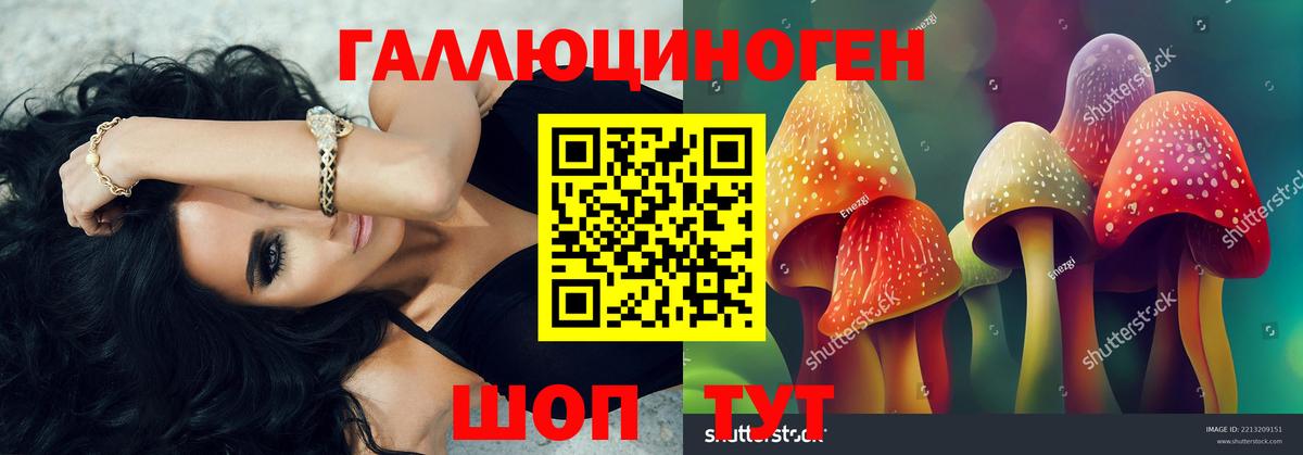 Десногорск  Галлюциногенные грибы Magic Shrooms  купить   Вход с VPN 